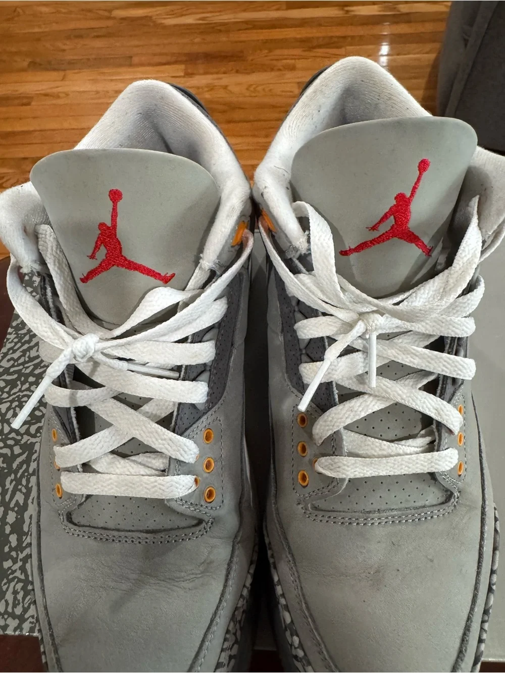 Air Jordan 3 “Cool Grey” CT8532-012 Size 9.5 USED